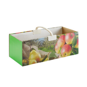 Fruit basket – corrugated and solid cardboard