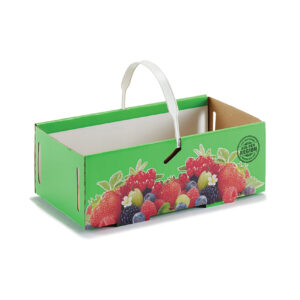 Fruit basket – corrugated and solid cardboard